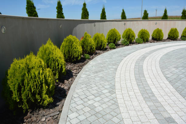 Best Residential Driveway Paver Services  in Lakefield, MN